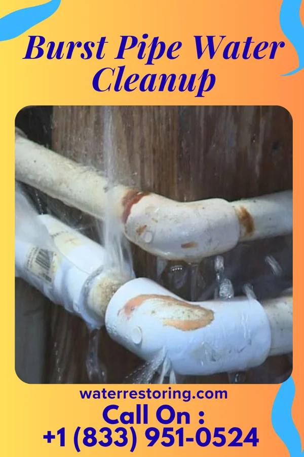 Burst Pipe Water Cleanup in Brookeville, MD
