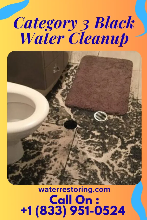 Category 3 Black Water Cleanup in Brookeville, MD