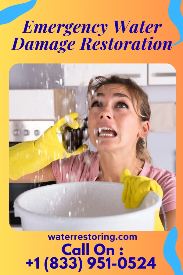 Emergency Water Damage Restoration in Brookeville, MD