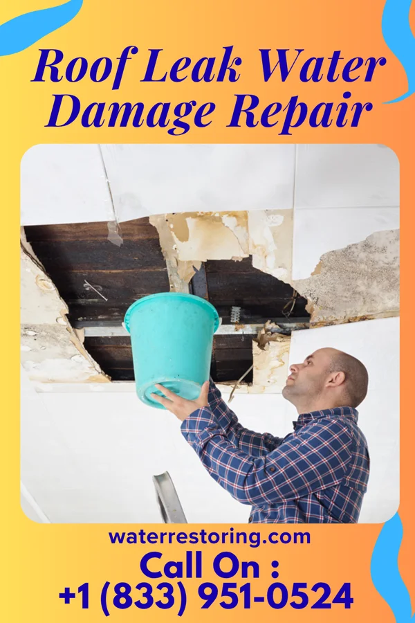 Roof Leak Water Damage Repair in Brookeville, MD