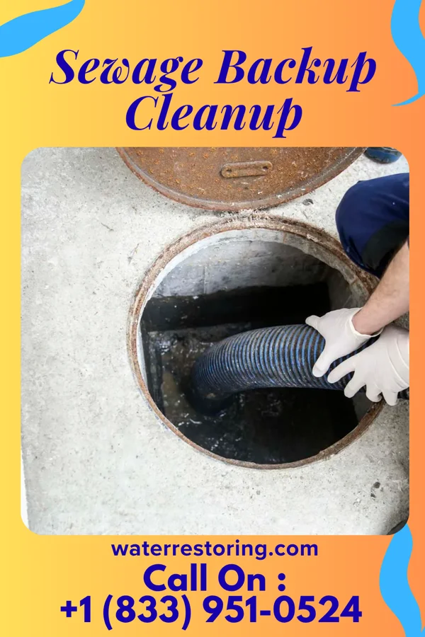Sewage Backup Cleanup in Brookeville, MD
